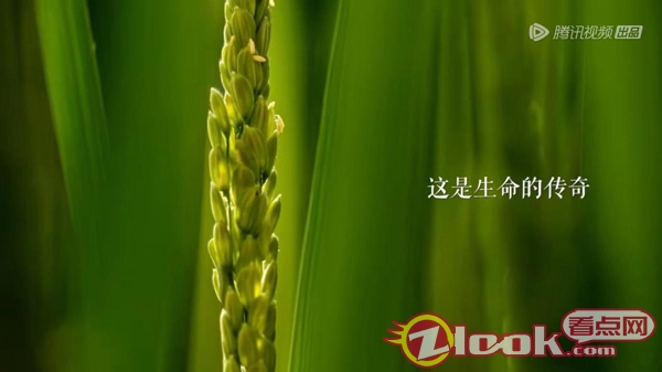 圖片2