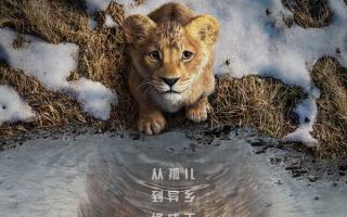 迪士尼《狮子王：木法沙传奇》海报预告曝光 木法沙从懵懂幼狮到威严狮王