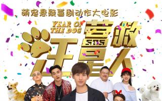 辛芷蕾为前经纪人梁婷电影投资宣发 梁婷回应成毅新片《营救汪星人》撤档再上