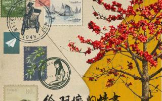 票房破15亿！《给阿嬷的情书》凭什么让全国观众哭成一片？